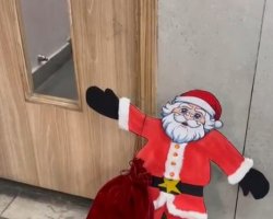 Christmas Celebration 2025-26